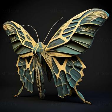 3D model Ornithoptera (STL)